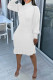 Casual Solid Basic Turtleneck Long Sleeve Dresses