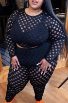 Sexy Casual Solid Hollowed Out See-through O Neck Plus Size Two Pieces