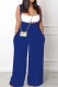 Sexy Casual Solid Backless Spaghetti Strap Sleeveless Two Pieces