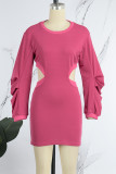 Casual Solid Hollowed Out O Neck Long Sleeve Dresses
