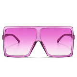Casual Daily Solid Basic Sunglasses