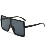 Casual Daily Solid Basic Sunglasses