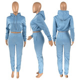 Fashion Casual Solid Basic Hooded Collar Long Sleeve Two Pieces
