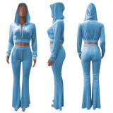 Fashion Casual Solid Zipper Hooded Collar Long Sleeve Two Pieces