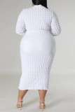 Casual Solid Basic Half A Turtleneck Long Sleeve Plus Size Dresses