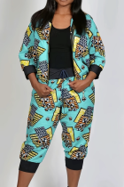 Casual Print Patchwork Plus Size Two Pieces