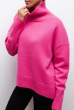 Casual Solid Basic Turtleneck Tops