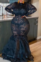Sexy Solid See-through Half A Turtleneck Long Sleeve Plus Size Dresses