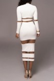 Casual Solid Patchwork See-through Half A Turtleneck Long Sleeve Dresses