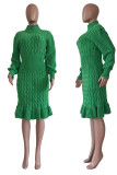 Casual Solid Basic Turtleneck Long Sleeve Dresses