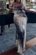 Sexy Print Backless Spaghetti Strap Long Dress Dresses