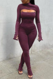 Sexy Casual Solid Basic Turtleneck Long Sleeve Two Pieces