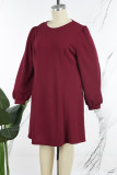 Casual Solid Basic O Neck Long Sleeve Plus Size Dresses
