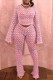 Sexy Solid Color Hollow Out Patchwork O Neck Long Sleeve Two Pieces