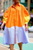 Casual Patchwork Contrast Turndown Collar Shirt Dresses