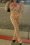 Sexy Leopard Print Patchwork Zipper Zipper Collar Long Sleeve Two Pieces