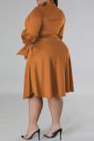 Elegant Solid Color Patchwork Strap Design Asymmetrical Collar A Line Plus Size Dresses