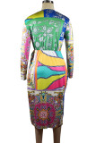 Elegant Print Patchwork Strap Design V Neck Printed Dresses