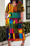 Casual Print Pocket Patchwork V Neck Straight Plus Size Dresses