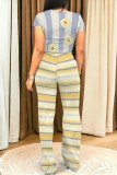 Casual Striped Print Floral Print Basic O Neck Short Sleeve Two Pieces