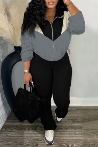 Casual Patchwork Contrast Zipper Collar Long Sleeve Two Pieces