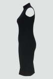 Casual Solid Color With Belt Turtleneck Long Sleeve Two Pieces