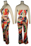 Casual Print Patchwork Backless Strapless Two Pieces