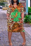 Casual Print Basic V Neck Short Sleeve Plus Size Dresses
