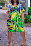 Casual Print Basic V Neck Short Sleeve Plus Size Dresses