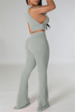 Casual Solid Basic O Neck Sleeveless Two Pieces