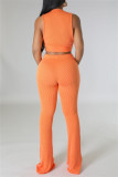 Casual Solid Basic O Neck Sleeveless Two Pieces