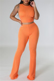 Casual Solid Basic O Neck Sleeveless Two Pieces