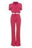 Casual Solid Frenulum Zipper Collar Short Sleeve Two Pieces