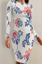Casual Street Floral Print Contrast O Neck Printed Dresses