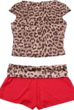 Casual Leopard Print Basic O Neck Short Sleeve Two Pieces