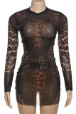 Sexy Leopard Print Patchwork O Neck Long Sleeve Two Pieces