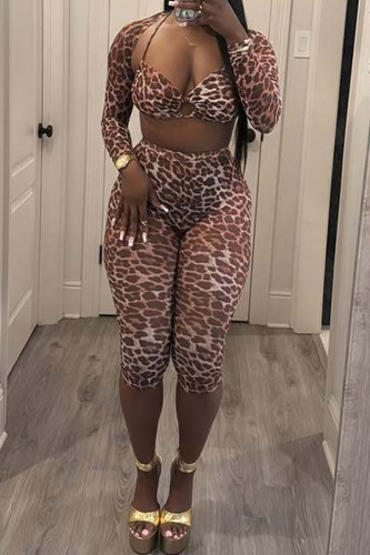 Casual Leopard Print Hollow Out Patchwork Asymmetrical Collar Long Sleeve Two Pieces