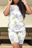Casual Street Floral Print Stripe Contrast O Neck Short Sleeve Two Pieces