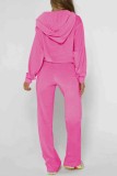 Casual Solid Color Zipper Hooded Long Sleeve Two Pieces