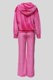 Casual Solid Color Zipper Hooded Long Sleeve Two Pieces