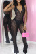 Sexy Solid Color Lace Patchwork See-Through V Neck Regular Jumpsuits