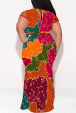 Sexy Snakeskin Print Leopard With Belt Contrast V Neck Printed Plus Size Dresses