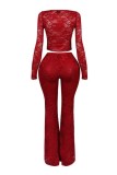 Sexy Hot Solid Color Lace Belted Long Sleeve Two Pieces