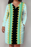 Casual Plaid Floral Print Pocket Contrast V Neck Printed Plus Size Dresses