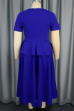 Elegant Zipper Ruffled Trim V Neck Long Plus Size Dresses