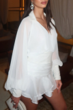 Elegant Solid Color Ruffled Trim Turndown Collar Long Sleeve Two Pieces