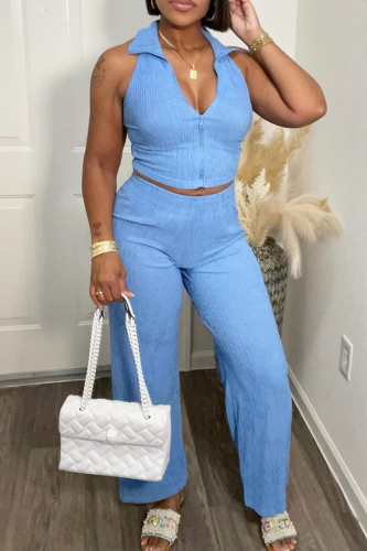 Casual Solid Color Zipper Turndown Collar Sleeveless Two Pieces