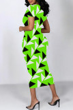 Casual Colorblock Flowers Print Contrast O Neck Printed Dresses