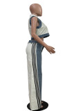 Casual Daily Stripe Patchwork Zipper Collar Sleeveless Two Pieces