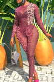 Sexy Leopard Print Patchwork O Neck Long Sleeve Two Pieces